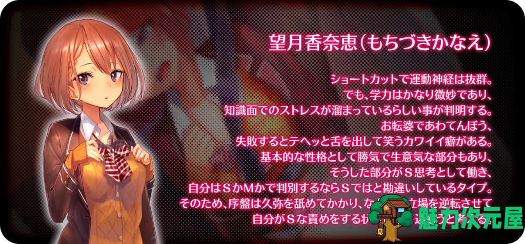 【PC/CG/ADV/汉化/728M】羞耻隶娘学园/圣艾洛梅洛伊学园/羞耻隶嬢学园 Ver0.1.2 AI汉化/拔作/CG/回忆/728M