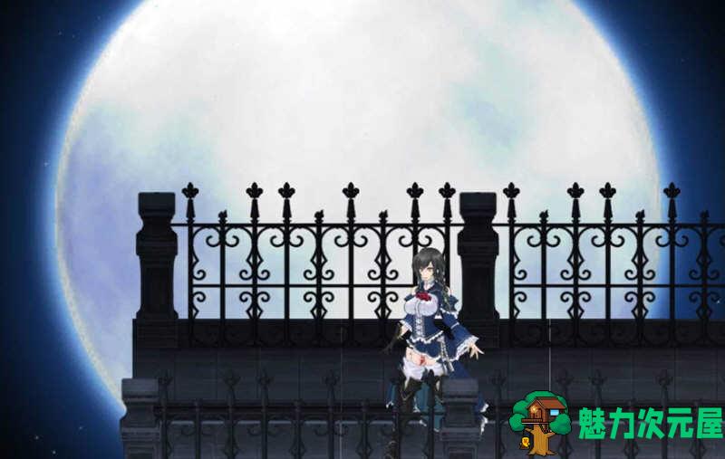 【PC/ACT/动态/史诗/3.22G】魔女复仇之夜 ver1.07 完美解码作弊汉化版 无码+横板ACT游戏+存档+动画/动态/史诗 3.22G