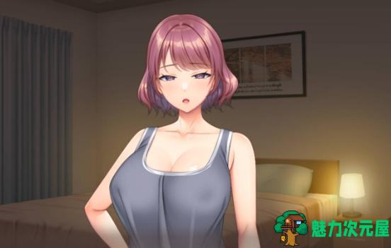 【PC/ADV/CG/交换/4.15G】爱妻交换 Ver4.0+全CG/ADV/AI汉化/交换/4.15G-魅力次元屋