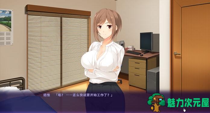 【PC/ADV/NTR/CG/CV/700M】单身不伦(単身不伦) Ver1.0+DL官方中文版+ADV游戏&NTR+全CG+CV+700M