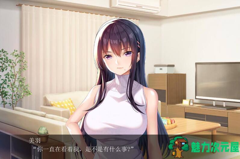 【安卓/PC/汉化版/CG/3.0G】请停手吧姐姐大人！要断了！完整汉化版 PC+安卓+全CG+补+3.0G