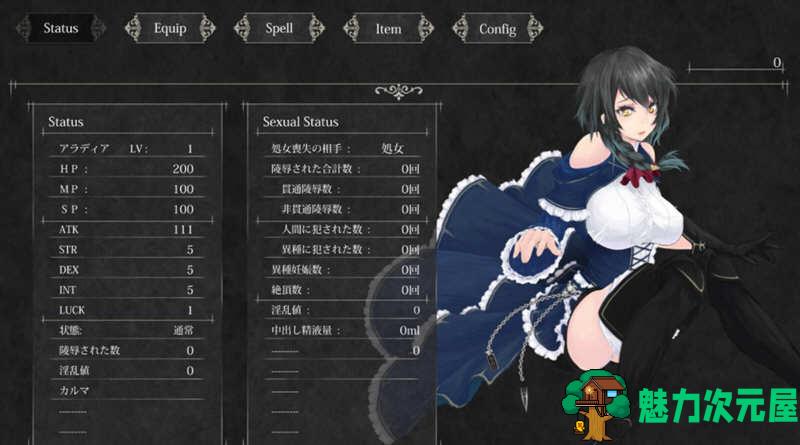 【PC/ACT/动态/史诗/3.22G】魔女复仇之夜 ver1.07 完美解码作弊汉化版 无码+横板ACT游戏+存档+动画/动态/史诗 3.22G