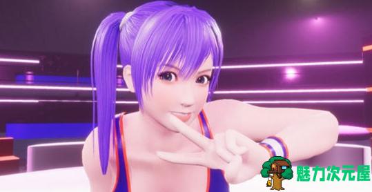 【PC/格斗/ACT/3D/5.9G】无限制超激女子格斗大赛/隆隆燃烧(RUMBLE BLAZING) Ver2803 日文版+ACT+3D+少女格斗游戏+5.9G-魅力次元屋