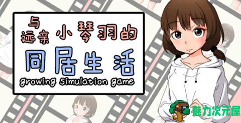 【SLG/汉化版】和琴羽酱的同居生活 精翻汉化版 养成SLG游戏 200M-魅力次元屋