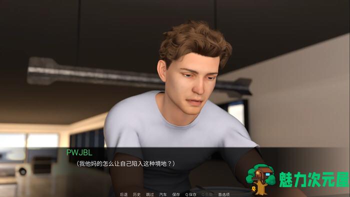 【安卓/PC/SLG/汉化版/1.3G】世俗契约 ver0.8 EP8 高压汉化版 PC+安卓 动态SLG游戏 1.3G