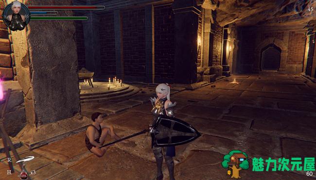 【中文/1.9G】地下城的女骑士 DL官方中文解码版 3D动作冒险游戏 1.9G