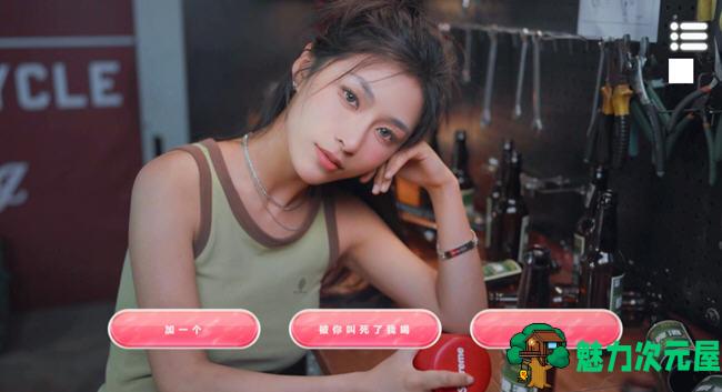 【中文/24G】自豪！美女全攻略 官方中文版 真人互动游戏 24G