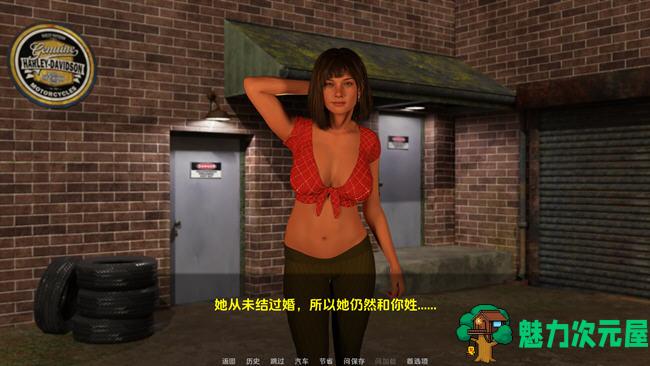 【安卓/PC/SLG/汉化版】一骑黑马(A Dark Horse Riding) ver1.5 汉化版 PC+安卓 SLG游戏 1.7G