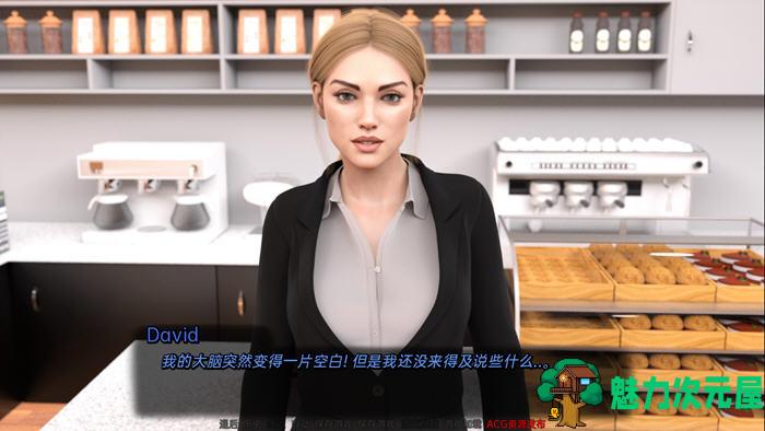 【安卓/PC/SLG/汉化版】完美婚姻(A Perfect Marriage) ver0.7b 汉化版 PC+安卓 动态SLG游戏 1.8G