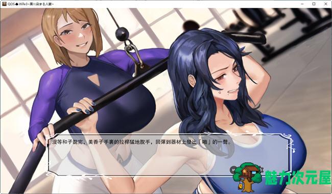【中文/ADV】QOSWife3 官方中文版 ADV游戏&NTR 900M