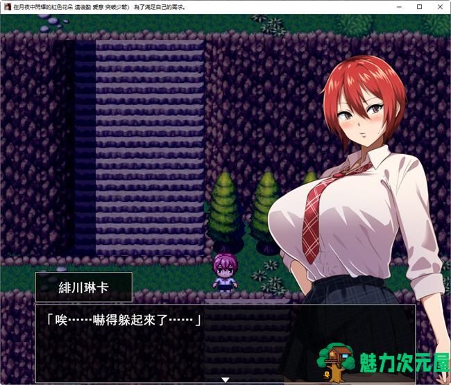 【RPG】月夜光辉:赤之华 AI汉化动作验证版 RPG游戏 800M