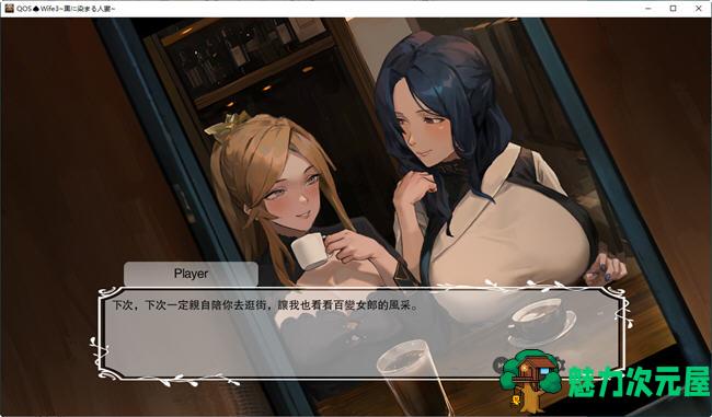 【中文/ADV】QOSWife3 官方中文版 ADV游戏&NTR 900M