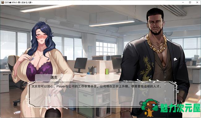 【中文/ADV】QOSWife3 官方中文版 ADV游戏&NTR 900M