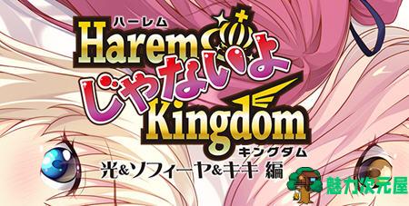 【汉化版/ADV】后宫王国(HaremKingdomFD) AI精翻汉化版 ADV游戏&SMEE 2.1G-魅力次元屋