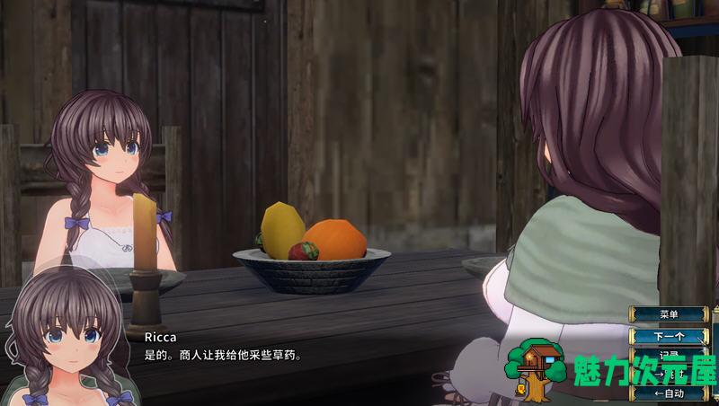 【中文】圣骑士莉卡物语：白翼与银翼的姐妹 ver1.3.6 官方中文版 3D横版动作游戏
