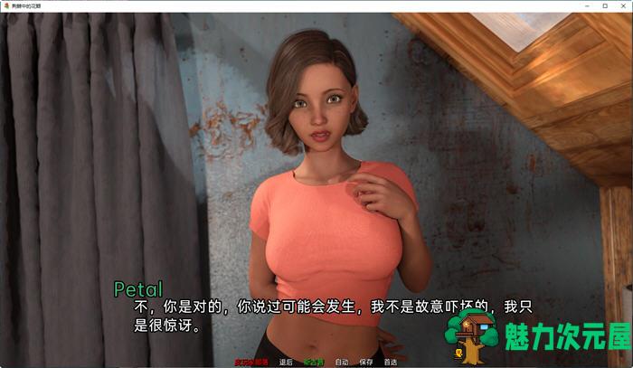 【安卓/PC/SLG/2.5G】荆棘中的花瓣 ver6.0.1 汉化重制版 PC＋安卓 动态SLG游戏 2.5G