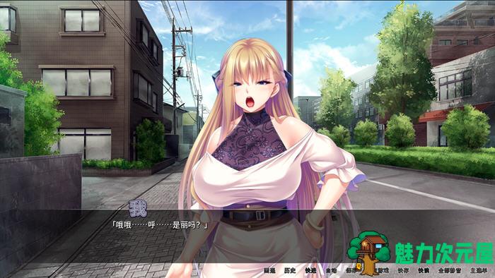 【安卓/PC/中文/4G/ADV】整个小镇都是我的后宫 ver1.21 官方中文版 PC+安卓 ADV游戏 4G