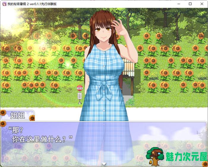 【SLG/汉化版】我的暑假秘密回忆2 ver1.28 云翻汉化版 探索SLG游戏 800M
