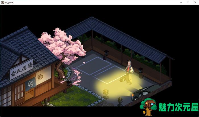 【中文/2G/RPG】护身术道场 ver1.9.1 官方中文版+葵编DLC 爆款RPG游戏+存档 2G