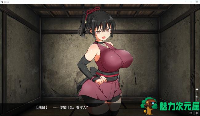【SLG/中文/1.5G】女忍绫目被抓后 ver1.5 官方中文版 养成类SLG游戏 1.5G