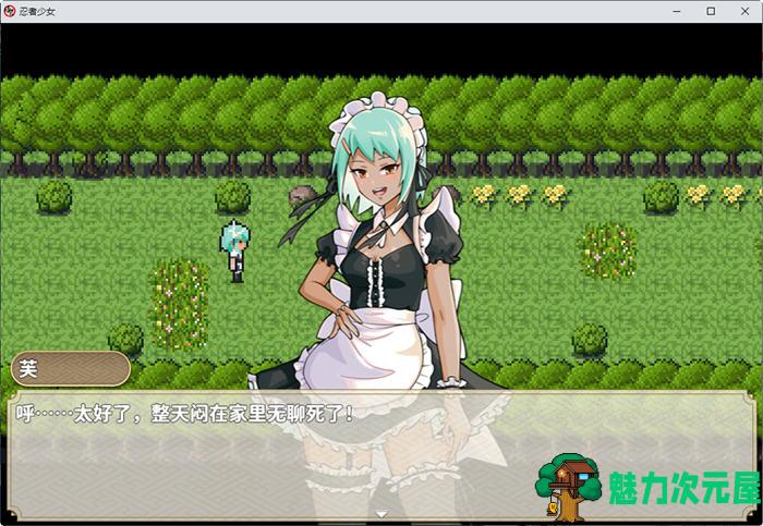 【安卓/PC/中文/RPG】忍者少女 官方中文作弊版 PC+安卓 ARPG游戏 900M