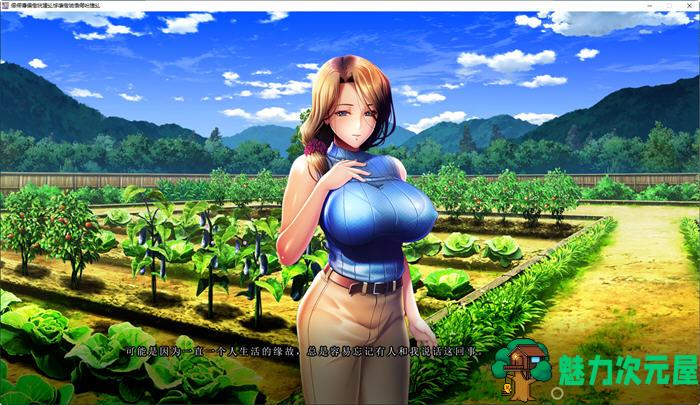 【汉化版/3.7G/ADV】和儿媳们相处的夏天 AI精翻汉化版+DLC ADV游戏+顶级CV 3.7G