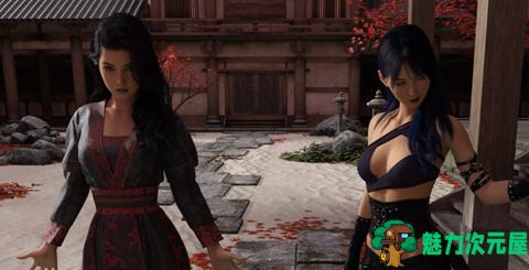 【安卓/PC/SLG/3.6G】禁忌道场(Forbidden Dojo) ver1.0 汉化完结版 PC+安卓 SLG游戏 3.6G