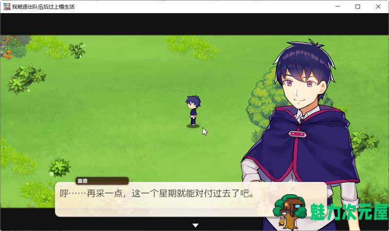 【中文/RPG】我被逐出队伍后过上慢生活 ver1.0.0 官方中文正式版 经营模拟RPG游戏