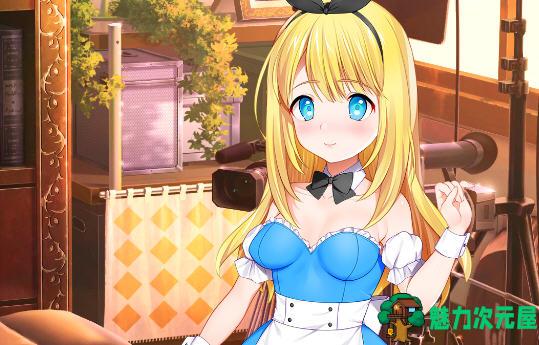 【中文/1.8G/CG】摄影之国的爱丽丝 官方中文作弊版 养成互动类游戏+CG 1.8G-魅力次元屋