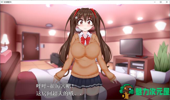【安卓/PC/汉化版/ADV】初冬暖阳R 精翻汉化版 PC+安卓+动画 ADV游戏 750M