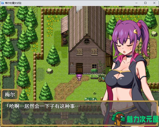 【安卓/PC/中文/RPG】梅尔的魔女试验 官方中文版整合所有DLC PC+安卓 RPG游戏 950M