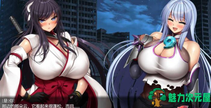 【安卓/PC/中文/3.6G/RPG】神峰忍法帖 官方中文版 PC+安卓+全回想 RPG游戏 3.6G