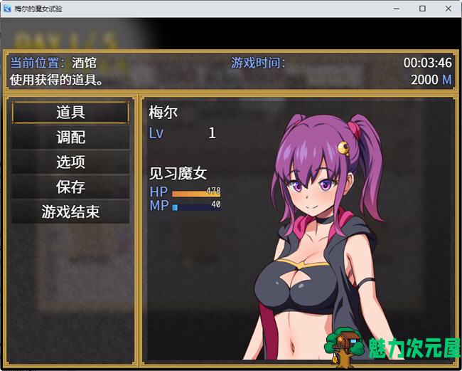 【安卓/PC/中文/RPG】梅尔的魔女试验 官方中文版整合所有DLC PC+安卓 RPG游戏 950M