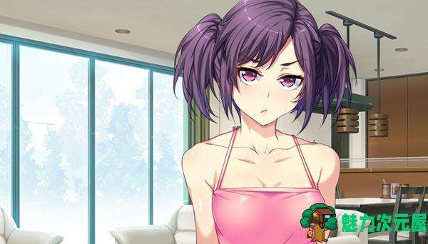 【汉化版/1.3G/ADV】和枪间一家的奇妙暑假 汉化版 ADV游戏+漫画&ORCSOFT 1.3G