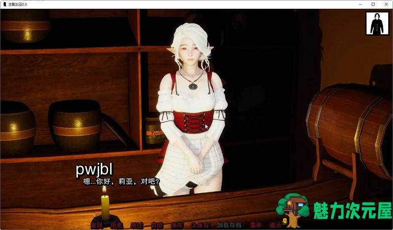 【安卓/PC/SLG/汉化版/4G】支配女巫(Dominant Witches) Ver0.9 汉化版 PC+安卓 SLG游戏&更新 4G