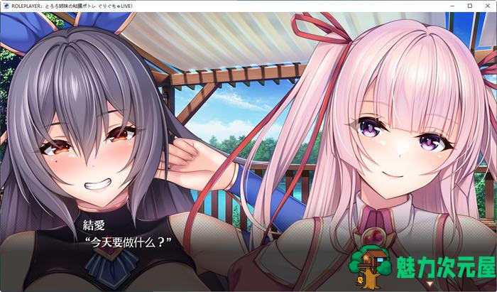 【SLG/汉化版/4.2G/CG】ROLEPLAYER：山药姐妹的黏膜游戏 精翻汉化版 SLG游戏+全CG档 4.2G