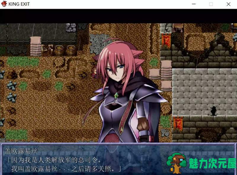【汉化版/RPG】王国编年史（King Exit） V1.2.0 精翻汉化版 RPG游戏&神作 1G