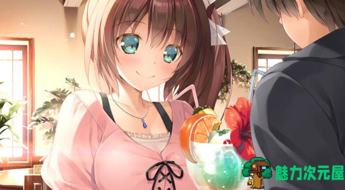 【汉化版/10G/ADV】见习恋人(study steady) 汉化版+自带全回想+补丁 ADV游戏&神作 10G