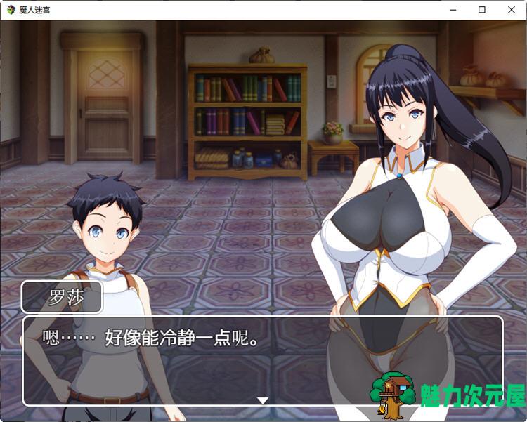 魔人迷宫：遥远的魔法石 精翻汉化作弊版 PRG游戏&NTR 950M