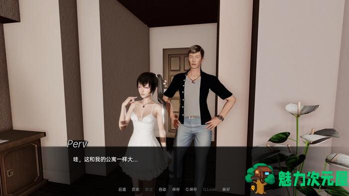 【安卓/PC/SLG/汉化版/1.9G】迷一样的遗产 Ver0.6 汉化版 PC+安卓 SLG游戏&新作 1.9G