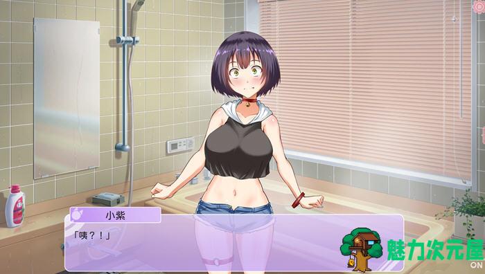 【中文/ADV】纯爱猫娘的同居生活 ver1.06 官方中文版 ADV游戏+CV 750M