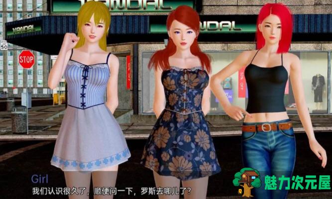 【安卓/PC/SLG/汉化版/1.6G】公主的后宫 Ver0.7 汉化版 PC+安卓 SLG游戏&新作 1.6G