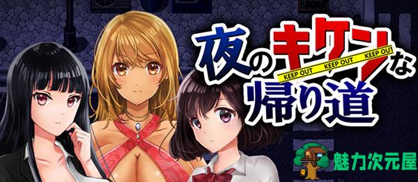 【安卓/PC/汉化版/RPG】晚上危险的回家路 ver2.00 精翻汉化版 PC+安卓+存档 RPG游戏 950M