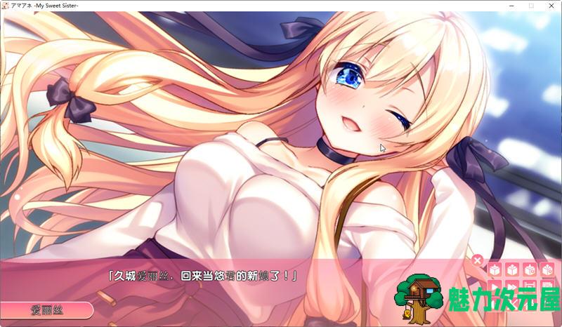 【汉化版/4.1G/ADV】姐姐回来当你的新娘了哦 汉化版 日式大型ADV游戏&纯爱 4.1G