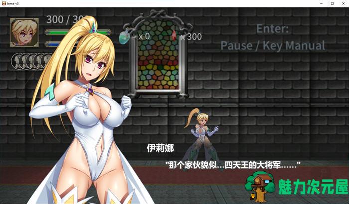 【中文】败走终极秘境：女拳师伊莉娜 官方中文版 横版动作冒险游戏+全CV 350M