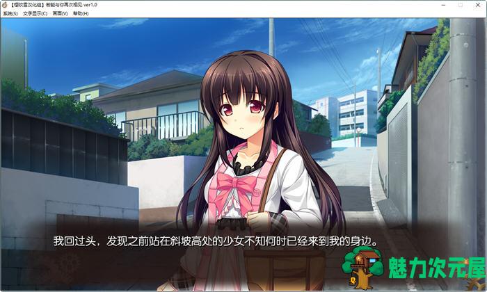 【汉化版/3.4G/ADV/CG】若能与你再次相见 ver1.0 精翻汉化版 ADV游戏+全CG存档+攻略 3.4G
