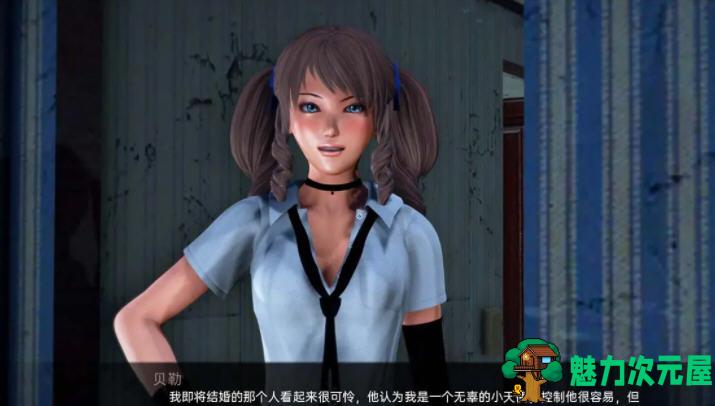 【安卓/PC/SLG/汉化版/1.6G】命运的欲望 V2 汉化版 PC+安卓 SLG游戏&新作 1.6G