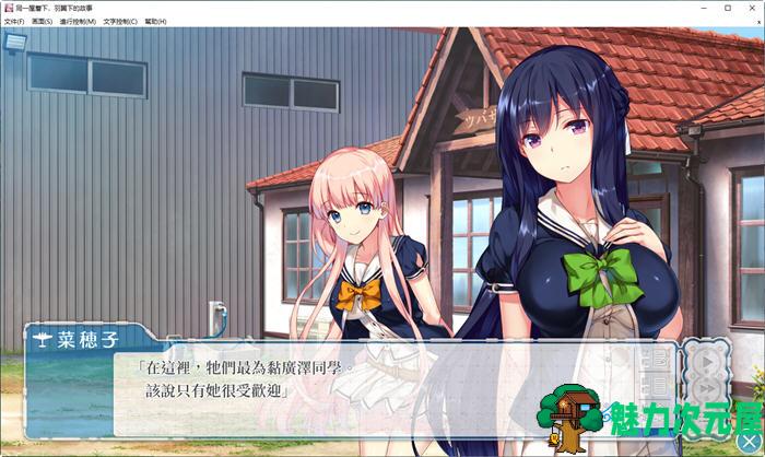 【汉化版/3.6G/ADV】在同一屋檐的羽翼之下 精翻汉化版 ADV游戏+存档+攻略 3.6G