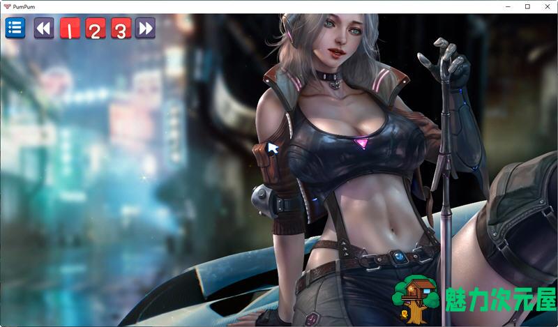 【中文】普姆普姆（PumPum）官方中文版整合5DLCs 休闲益智游戏 800M