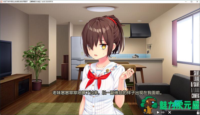 【汉化版/ADV/CG】飞机场住在吉尔升级岛上该如何是好？Ver1.02 精翻汉化版+全CG ADV游戏